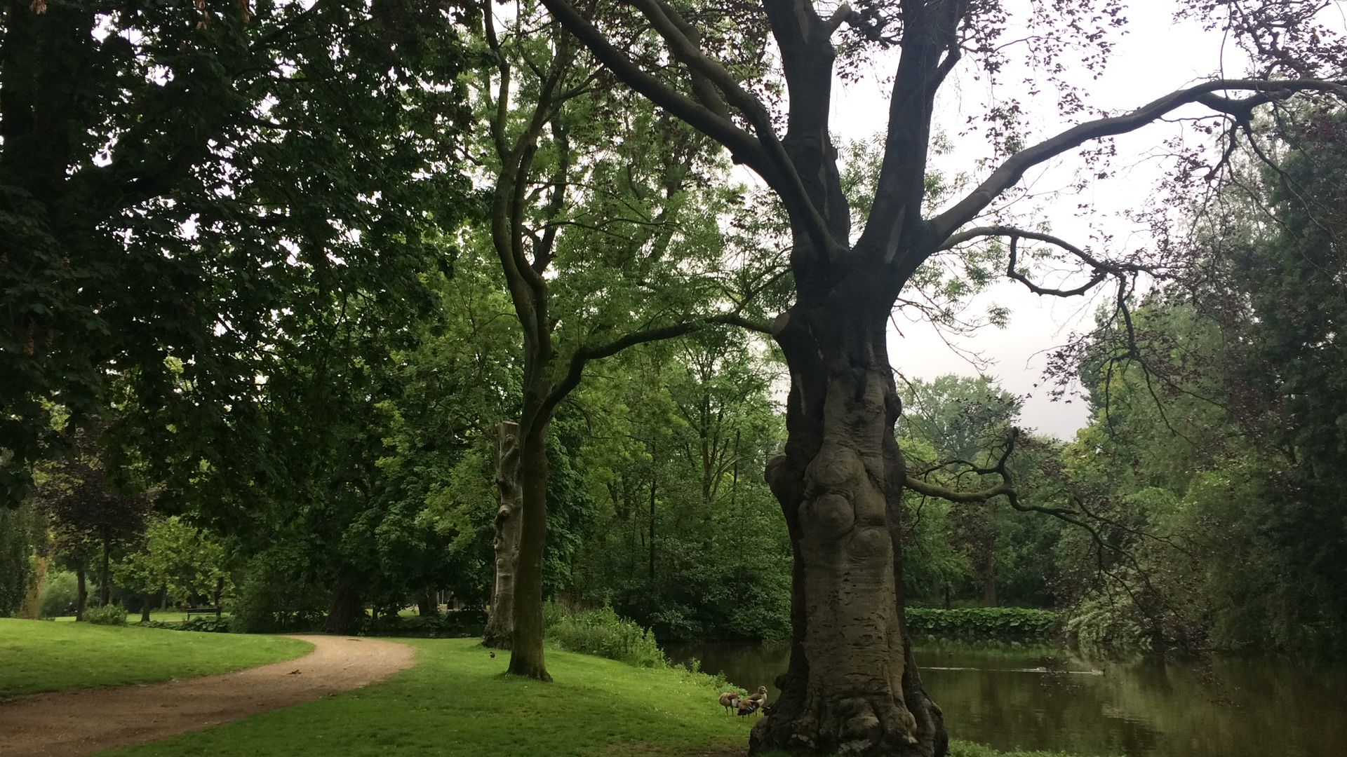 Xcode symbolic breakpoints - Break at method call